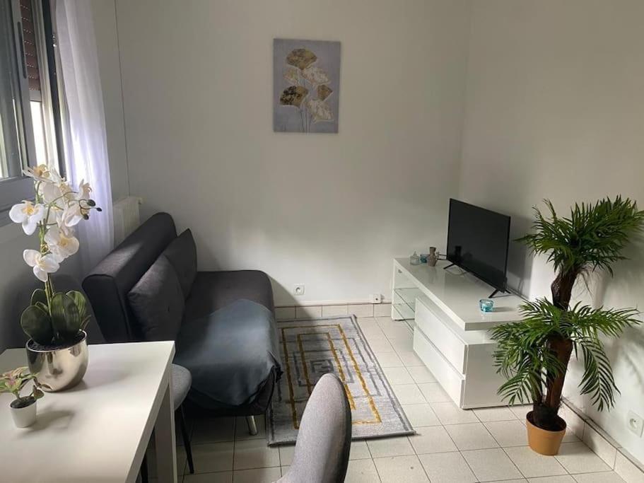Appartement Cosy 15 Min D'Orly Longjumeau Exteriér fotografie